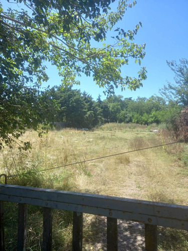 Lote De 6000 Mts Cuadrados En Villa Elisa