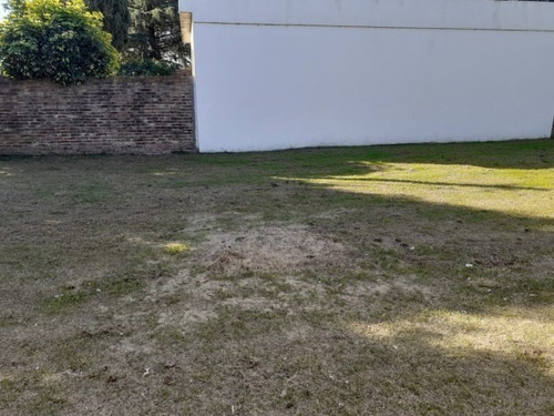 Imagen 6 de 7 de Terreno En Álvarez