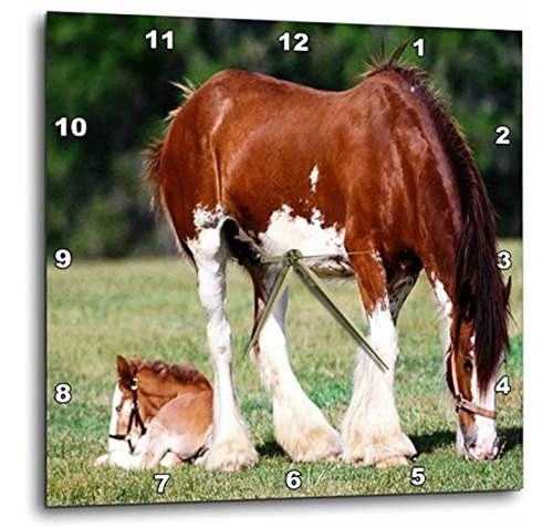 Dpp _ _ _ _ _ _ _ _ _ _ 80253 Florene Animales  Clydesdale Y