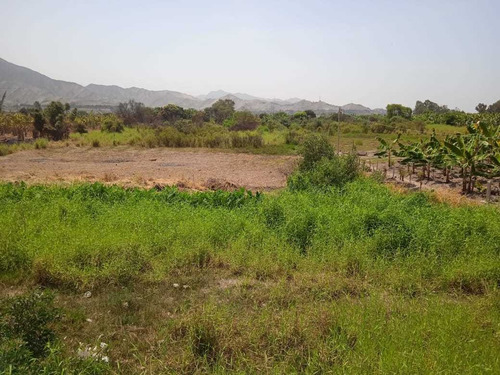 Imagen 10 de 13 de Construye Tu Casa De Campo En San Antonio De Mala. Invierte Para Tu Futuro.