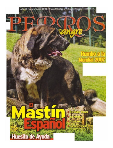 Revistas De Perros El Mastín Español Julio 2005