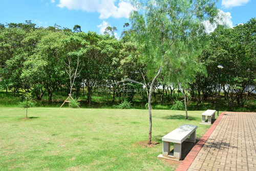 Imagem 11 de 25 de Terreno À Venda Em Jardim De Itapoan - Te013440