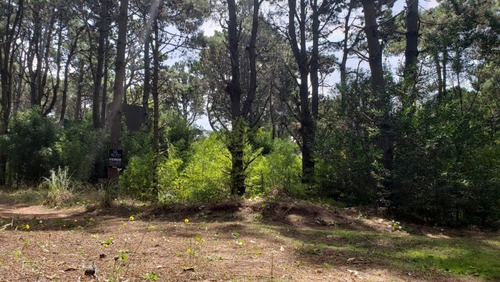 Imagen 4 de 6 de Lote De (442m2), En Barrio La Reserva