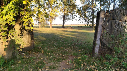 Imagen 5 de 9 de Vendo Terrenos En Ricardone