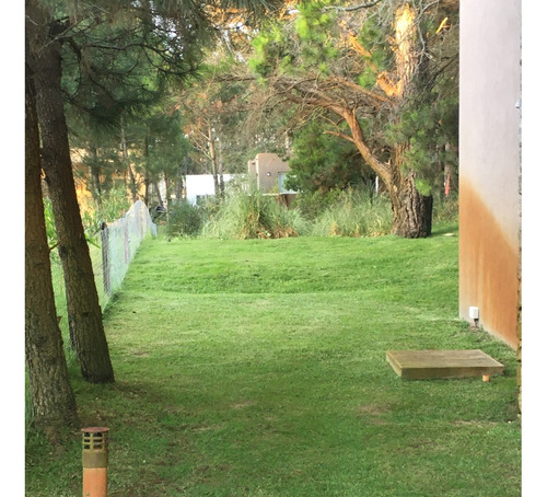 Casa Muy Luminosa, Amplios Placards En Dormitorios, Jardin Con Árboles