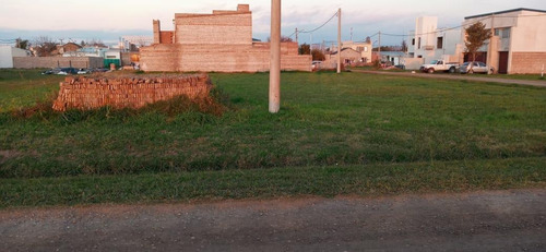 Imagen 2 de 2 de Vendo Terreno Esperanza