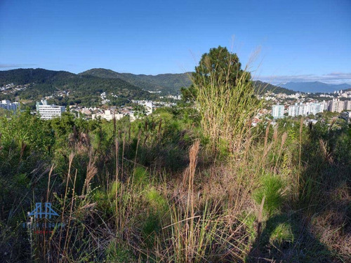 Imagem 8 de 26 de Terreno À Venda, 489 M² Por R$ 697.500,00 - Itacorubi - Florianópolis/sc - Te0085