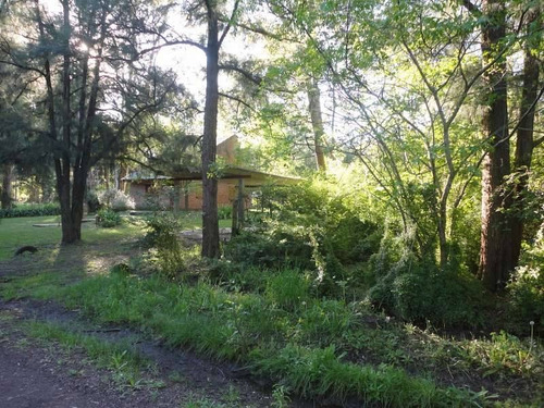 Terrenos O Lotes Venta Colonia