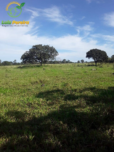 Imagem 1 de 15 de Fazenda Á Venda Em Dois Irmãos - To - 760 Hectares (dupla Aptidão) - 2086