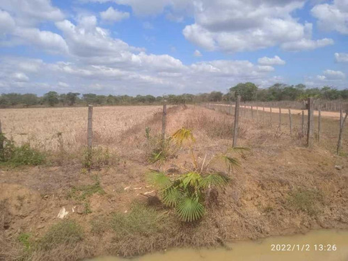 Imagen 24 de 28 de Finca En Venta Guarico