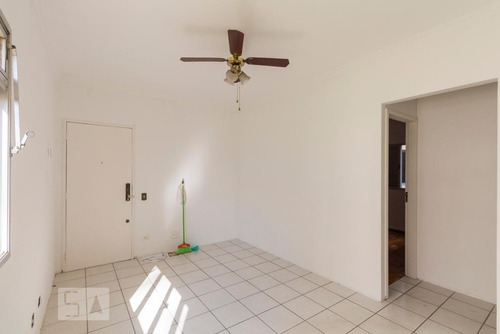 Apartamento À Venda - Vila Mascote, 3 Quartos, 67 - S893085560