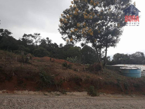 Imagem 10 de 11 de Terreno À Venda, 250 M² Por R$ 80.000 - Cabreúva - Mairiporã/sp - Te0229