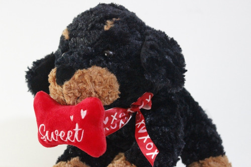 Peluche Hug Fun Sweet Perro 30cm Importado  Caj(71)