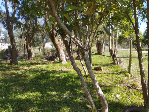 Venta Alquila Permuta Casa En Lago Merín.