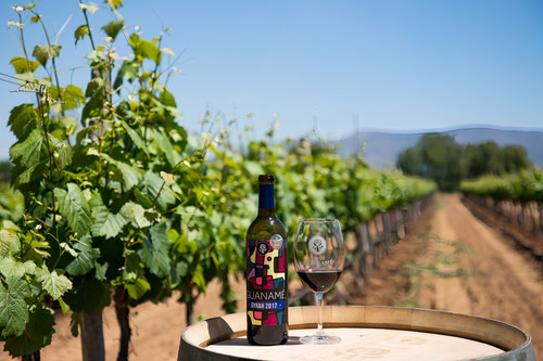 Vino Tinto Guanamé Syrah 750 Ml