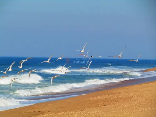 Venta De Terreno En Las Garzas, Punta Del Este