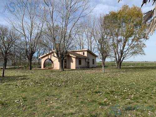 Excelente Campo Agricola De 62,73 Has.