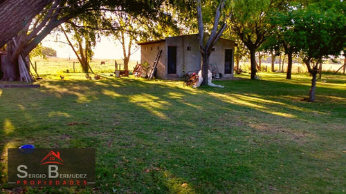 Imagen 6 de 14 de Venta-chacras-campo - Gral Lavalle-ruta 11/ Km 320
