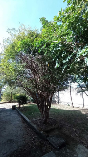 Imagem 11 de 23 de Chácara Em Centro, Esmeraldas/mg De 1000m² 2 Quartos À Venda Por R$ 275.000,00 - Ch2320789-s