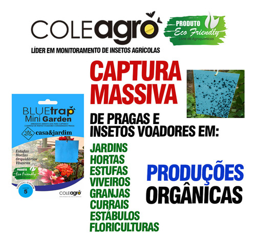 Armadilha Azul Adesiva Mata Trips Mini Garden C/ 30unidades