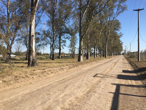 Imagen 7 de 14 de Depósito-predio - Malvinas Argentinas, Ruta 19, Córdoba