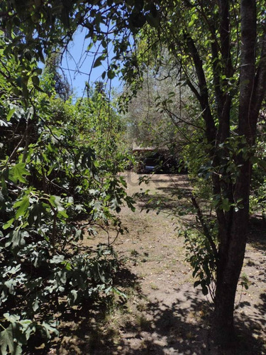 Venta Casa Quinta Amoblada En Francisco Alvarez Partido De Moreno