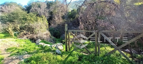 Agrícola En Venta En Olmué