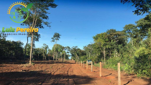 Imagem 1 de 13 de Fazenda Em Taipas - To - 2.080 Hec - Agricultura - 1916