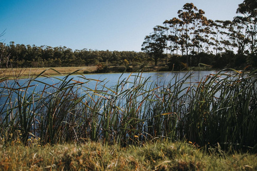 Imagen 28 de 30 de Terreno Lote En Venta Ubicado En Playa Brava, Punta Del Este, Punta Del Este / Maldonado