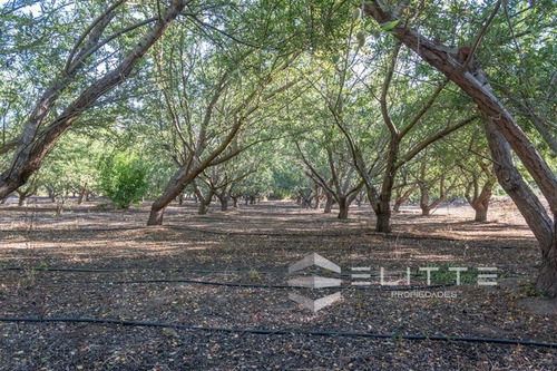 Imagen 16 de 29 de Parcela En Venta En Casablanca