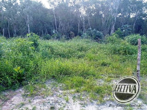 Imagem 5 de 11 de Terreno 12x60 M² -balneário Betaras - Matinhos-pr - 627t