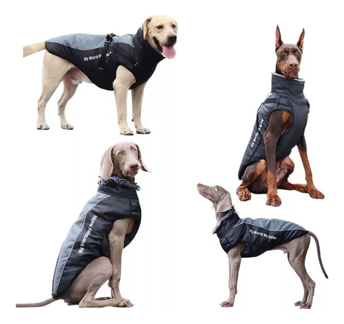 Chaleco Chamarra Impermeable Para Perros Medianos Y Grandes