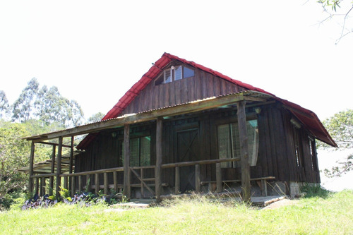 Imagen 5 de 14 de Finca Con Cabaña Rústica./ Negociable.