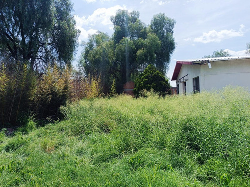 Propiedad En Renta/venta Camino A San Jose De Los Mendoza San Juan De La Vega Celaya