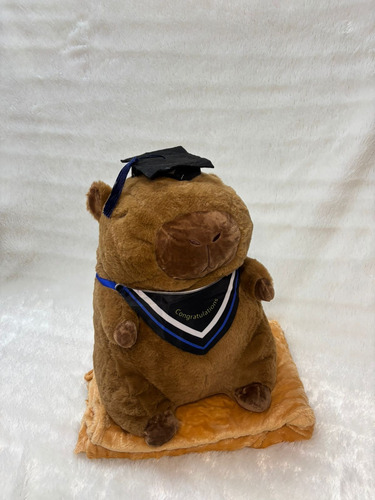 Peluche Capibara Carpincho Con Manta Varios Modelos 40cm Capibara Egresado