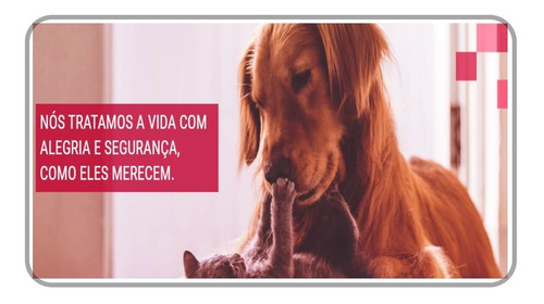 Probiótico Pet Avert 14g