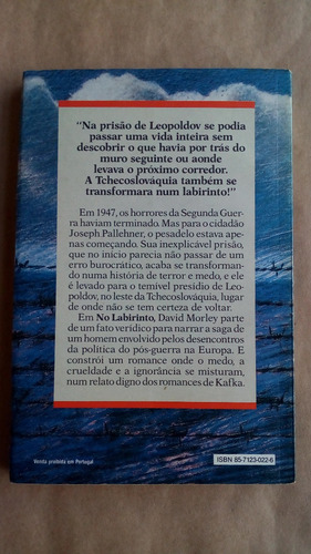No Labirinto - John David Morley (Usado)