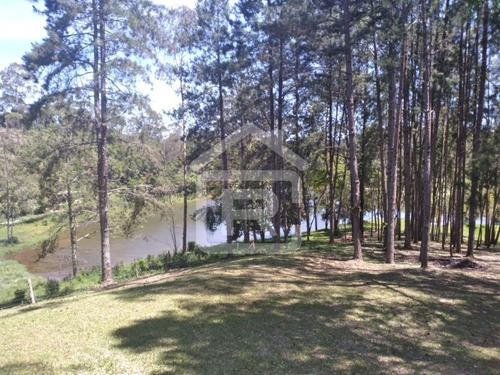 Imagem 9 de 30 de Lindo Sítio Em Juquitiba Com Imenso Lago, Piscina, Nascentes - 92 - 70323419