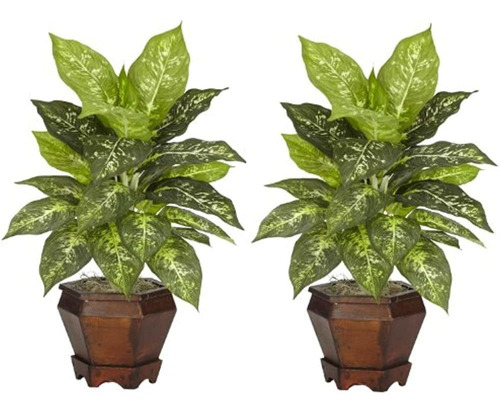 Dieffenbachia Casi Natural 6712-vr-s2 Con Jarrón De Madera P