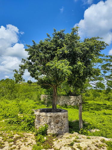 Venta De Rancho En Zona Ganadera De Yucatán, Con Cenotes, 453 Has