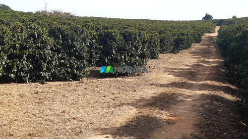 Imagem 4 de 12 de Fazenda - Zona Rural - Ref: 5175 - V-mta5175