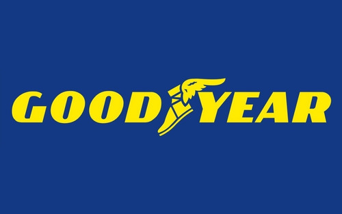 Imagen 6 de 10 de Neumatico Goodyear Efficientgrip Rof 225/45 R18 91y
