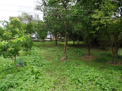 Imagem 3 de 8 de Terreno - Centro - Ref: 6582 - V-6582