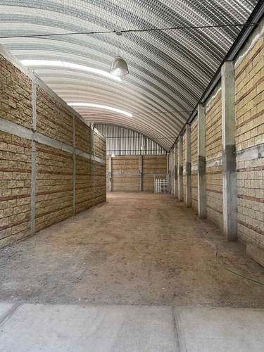 Imagen 5 de 14 de Rento Bodega En Tenancingo , 800 Metros Junto A Auto Zone