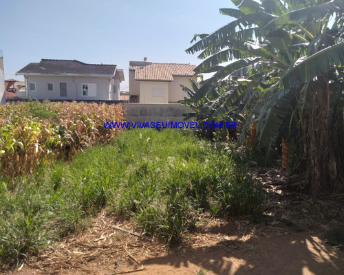 Imagem 1 de 1 de Terreno - Te00068 - 70818210