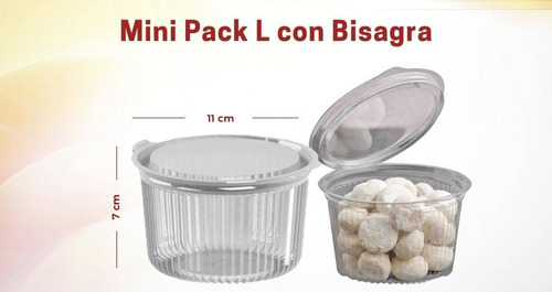 Envase Plástico Transparente Mini Pack L Con Bisagra Paquete