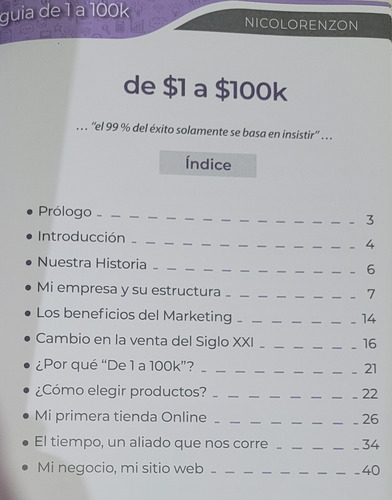 Guía Para Iniciar Tu Negocio En Internet - Nicolás Lorenzón (Usado)