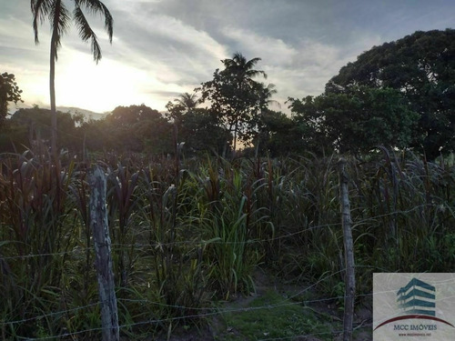 Granja A Venda Nísia Floresta
