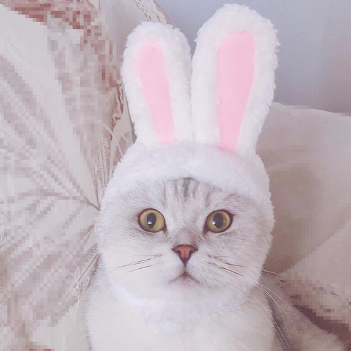 Disfraz De Mascota Orejas De Conejo Ropa Perro Gato