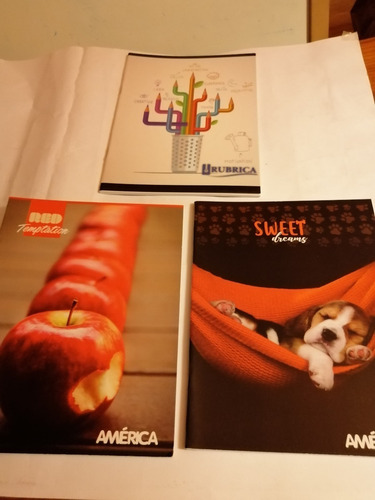 Cuadernos .doble Raya,cuadriculados. X 2
